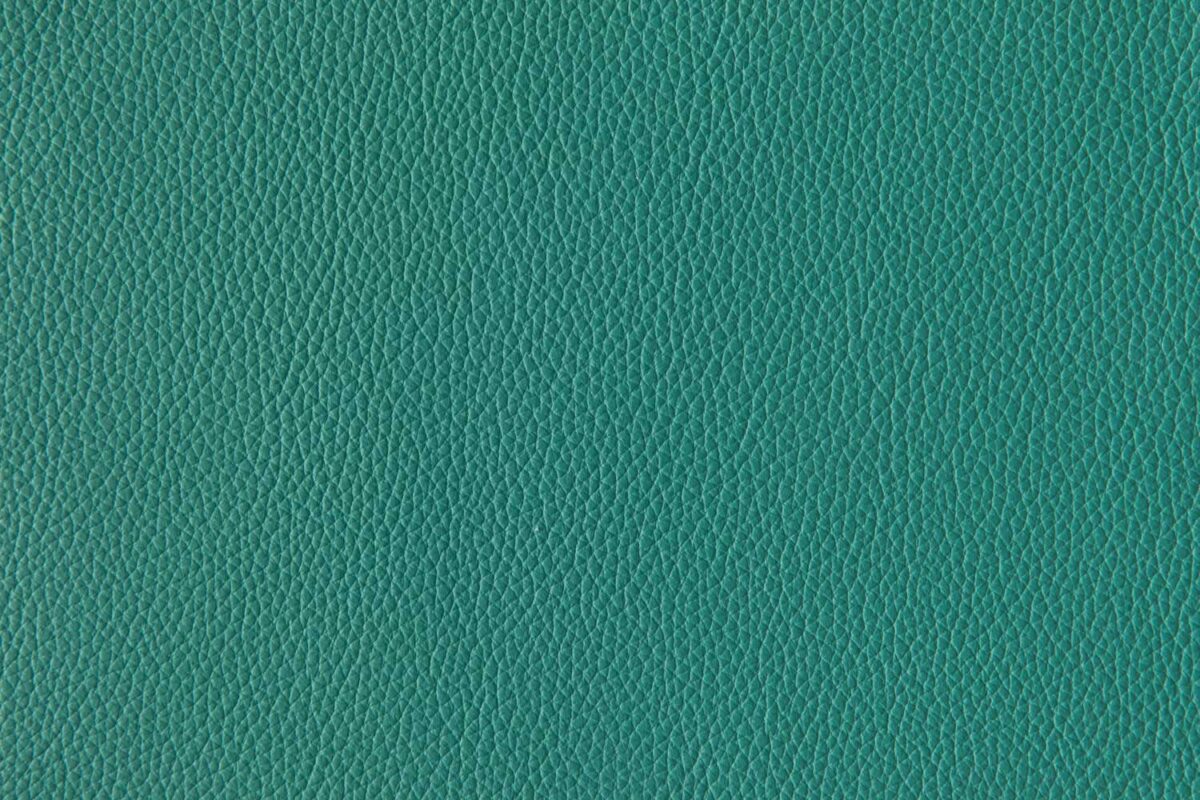 Prickly Pear Whistler Leather