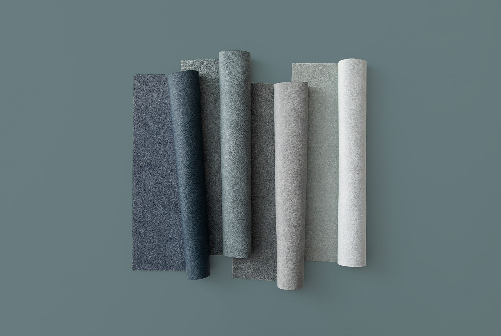 LEHUA-Blues-On-Sea-Turtle